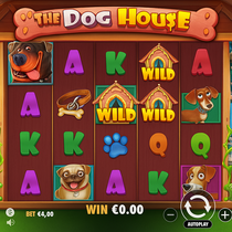 AllySpin - The Dog House Slot Game - Online Casino